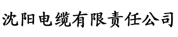 国产亚洲码一区二区三区电缆厂logo